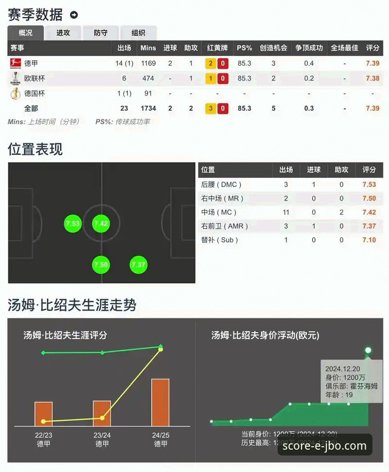 实时比分与专业分析 竞博体育平台:从实时比分查询到专业赛事分析的深度操作教程